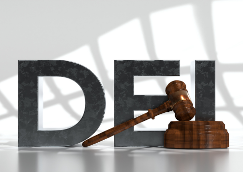 DEI in large letters with gavel in front